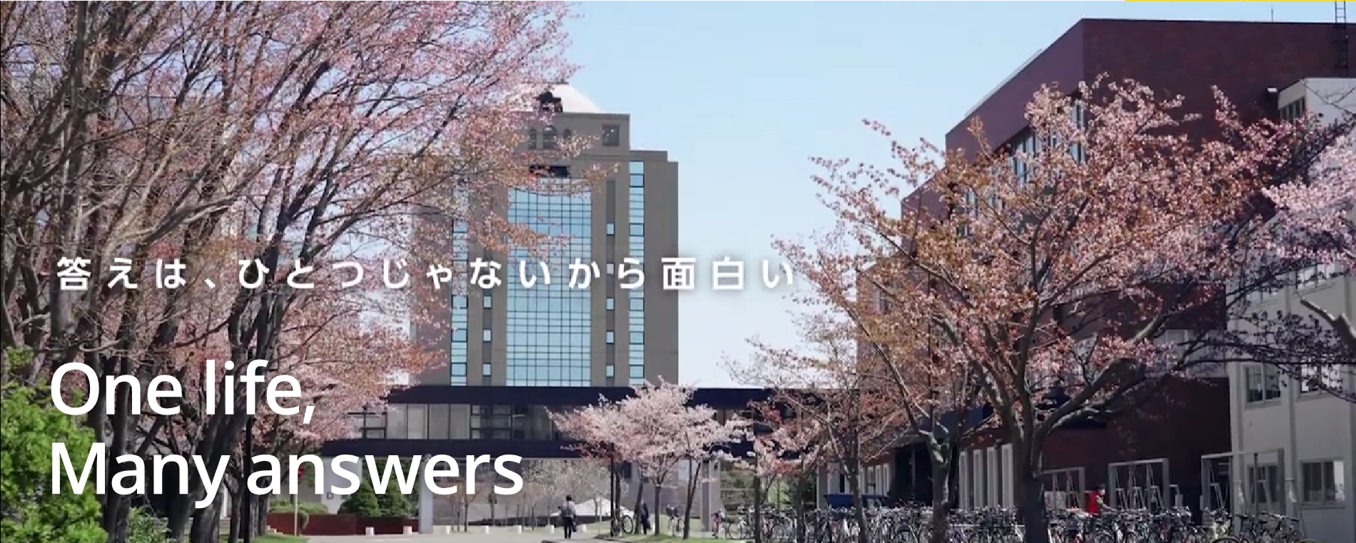 札幌学院大学